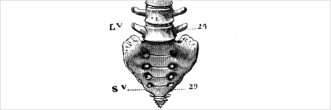 Spécificités de la prise en charge des lombalgies après 50 ans